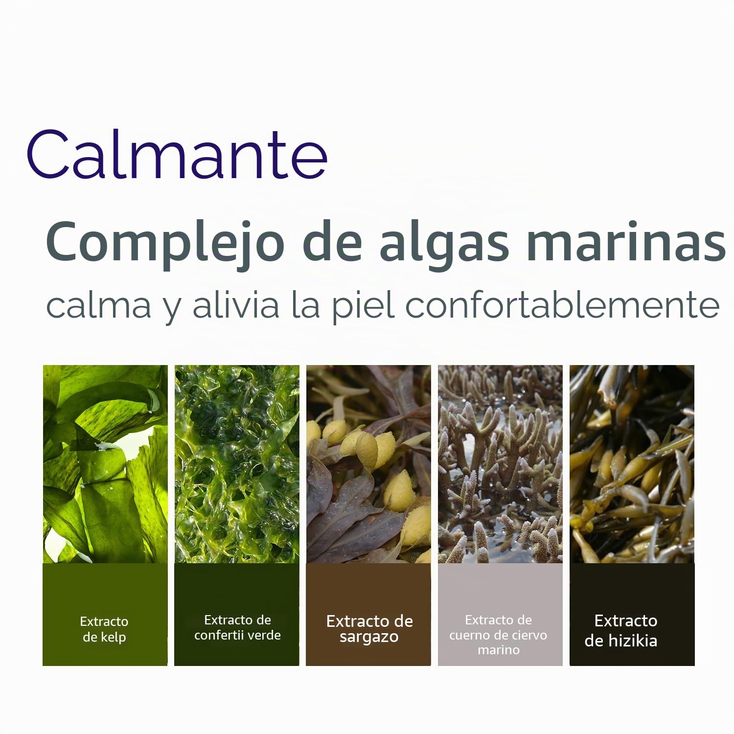 PETITFEE Agave Cooling, Máscara de Ojos de Hidrogel, Hidratante y Refrescante, Ideal para Reducir la Hinchazón y Calmar la Piel, 60 Piezas (30 Pares)