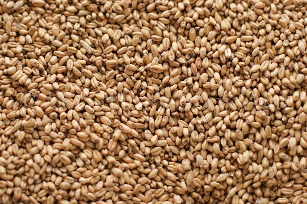 Gw White Wheat Malt (10 lb)