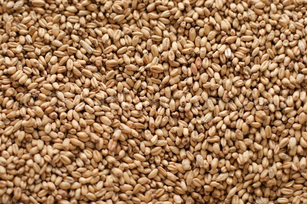 Gw White Wheat Malt (5 lb)