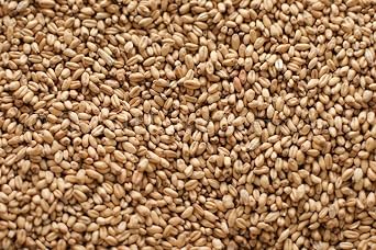 Gw White Wheat Malt 5 lb