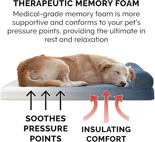 Miniatura 5 de Furhaven  Cama para perro. Sofá estilo tradicional terapéutico. Sofá cama de lujo de sala para mascotas con funda extraíble, para perros y gatos