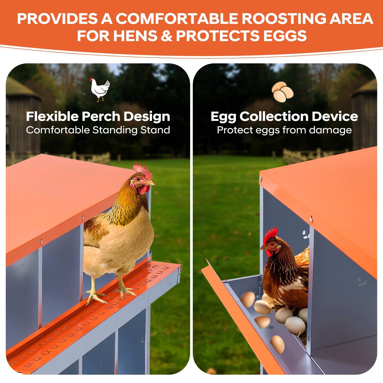 Garvee Caja de anidación de Pollos, Nido de 6 cámaras para Pollos, Soportes de plástico, Nido para gallinas, instalación montada en la Pared, fácil de Limpiar, ventilado, Duradero,Rojo