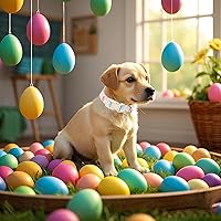 Vista 72 de DOGWONG Collar de perro de San Valentín, collar de perro con estampado de corazones para perros grandes, lindos collares de primavera, hembra