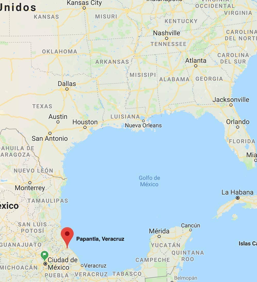 Xahnat Flor Recóndita Pure Vanilla 1000 ML, from Papantla Veracruz