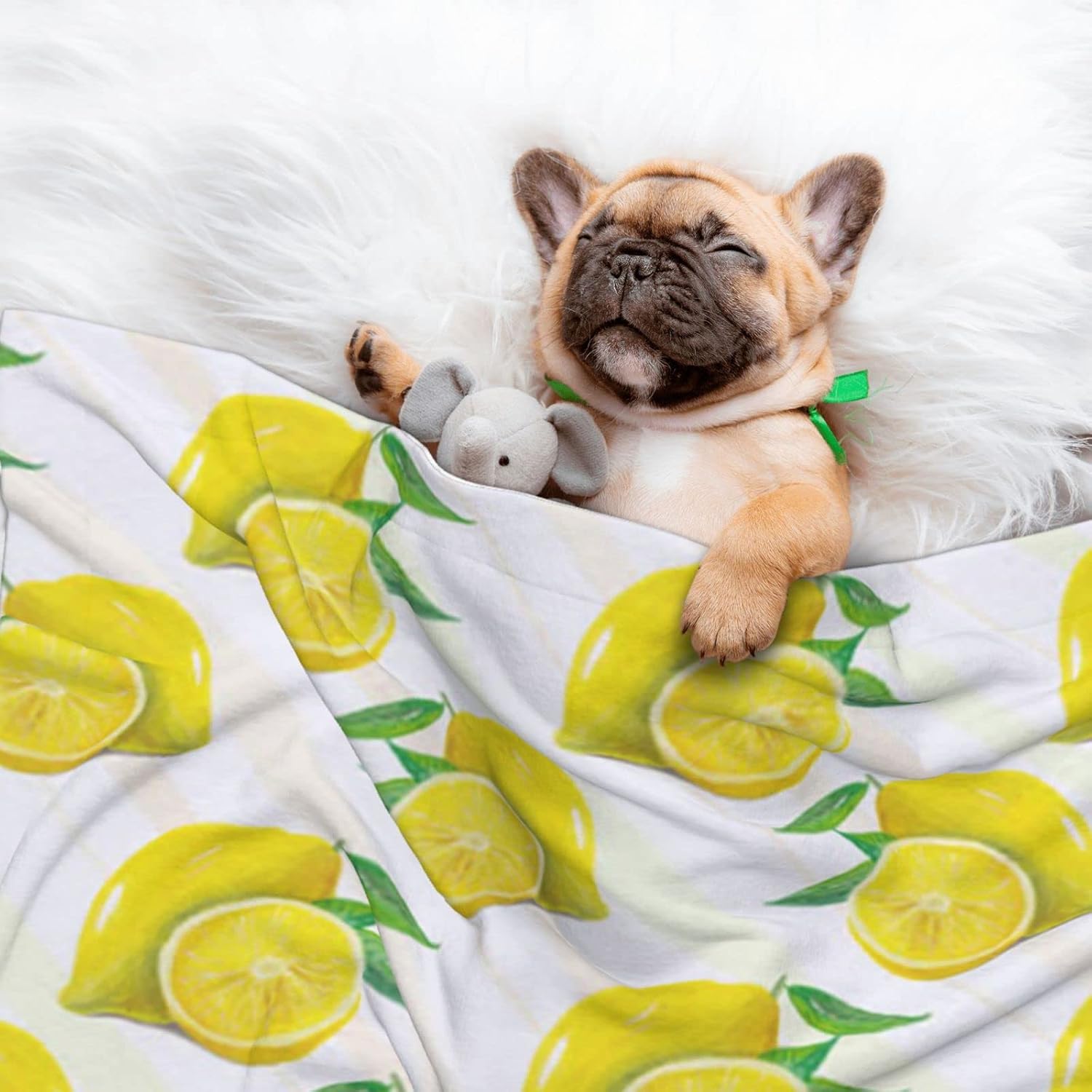 review Yellow Lemon Pet Blankets for Dogs & Cats 19.7x27.6 Inch, Warm Cozy Reversible Throw for Crates Couch Car, Soft Plush Puppy Bed Cover, Machine Washable