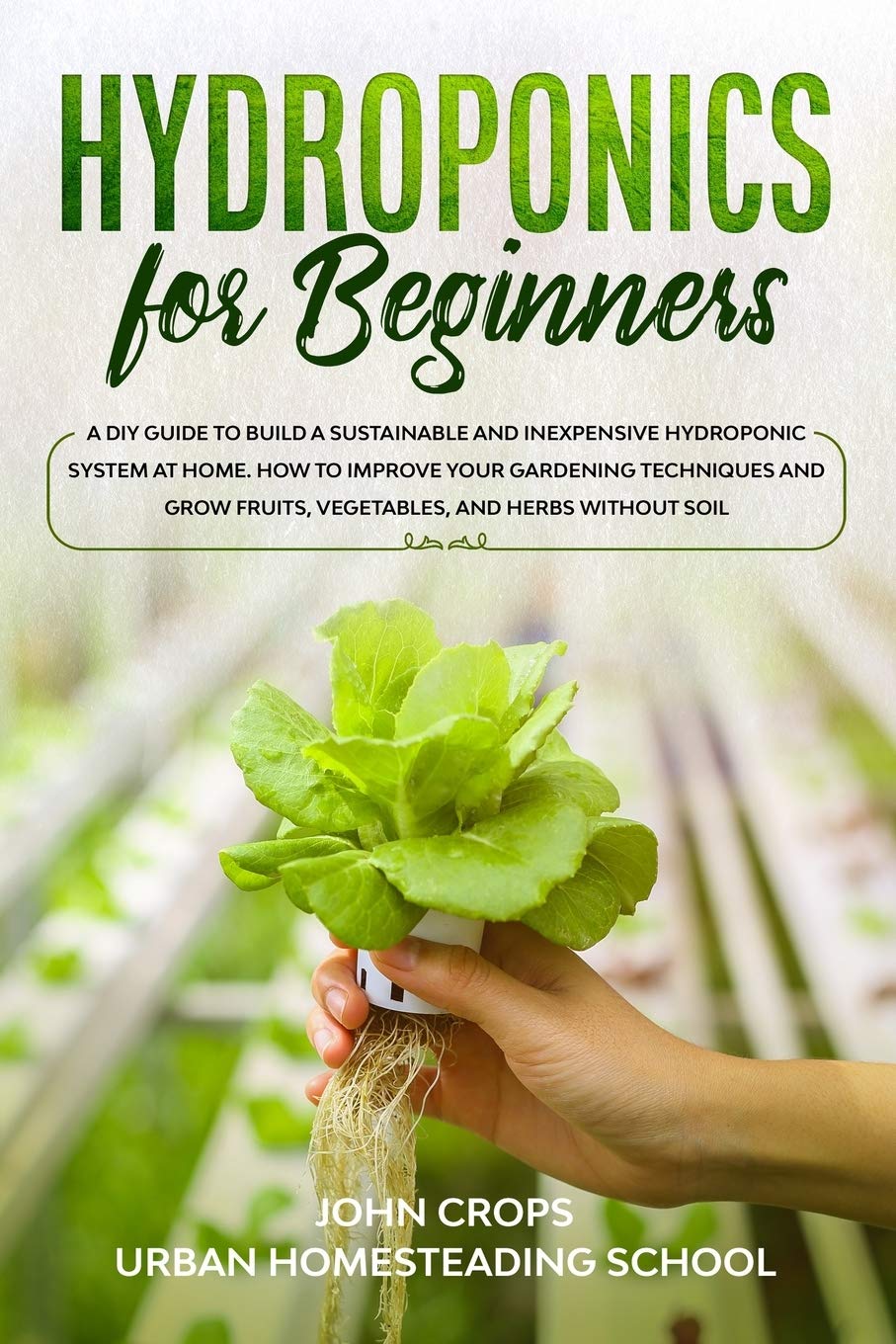 Buy Hydroponics for Beginners: A DIY Guide to Build a Sustainable and ...