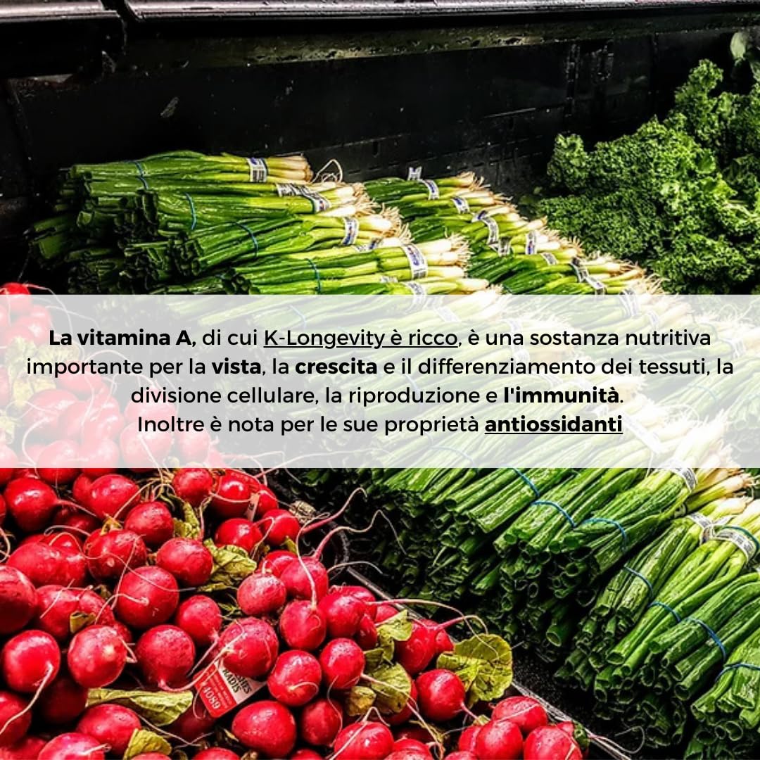 K-Longevity Integratore Alimentare Antiage Energizzante Antiossidante Con Royal Jelly (pappa reale) Quercetina Vitamina A. Supporta le difese Immunitarie e Combatte Fatica Stanchezza Radicali Liberi.