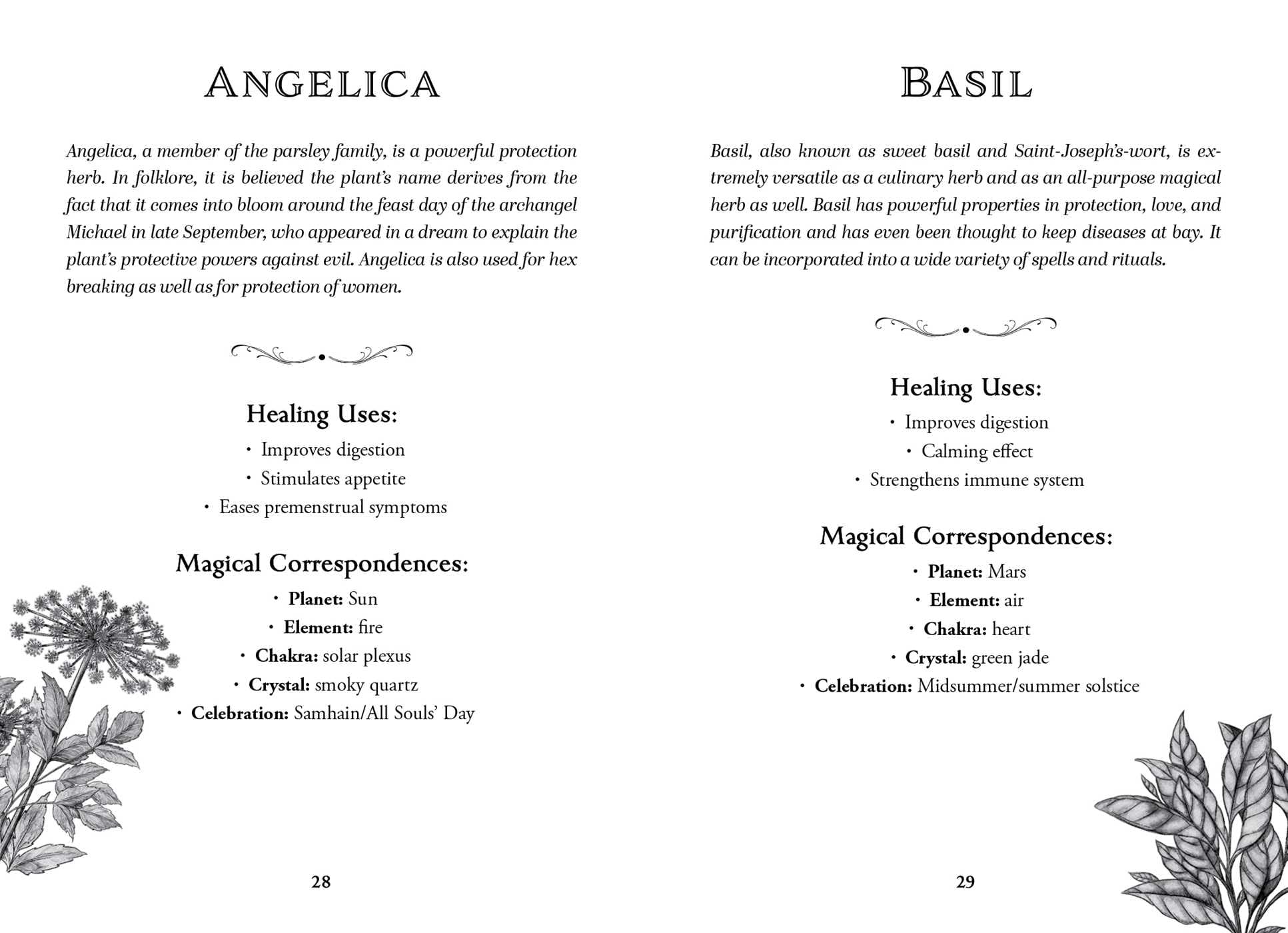The Green Witch's Deck of Magical Herbalism : 50 of the Most Magical Plants, Herbs, and Flowers to Empower Your Craft