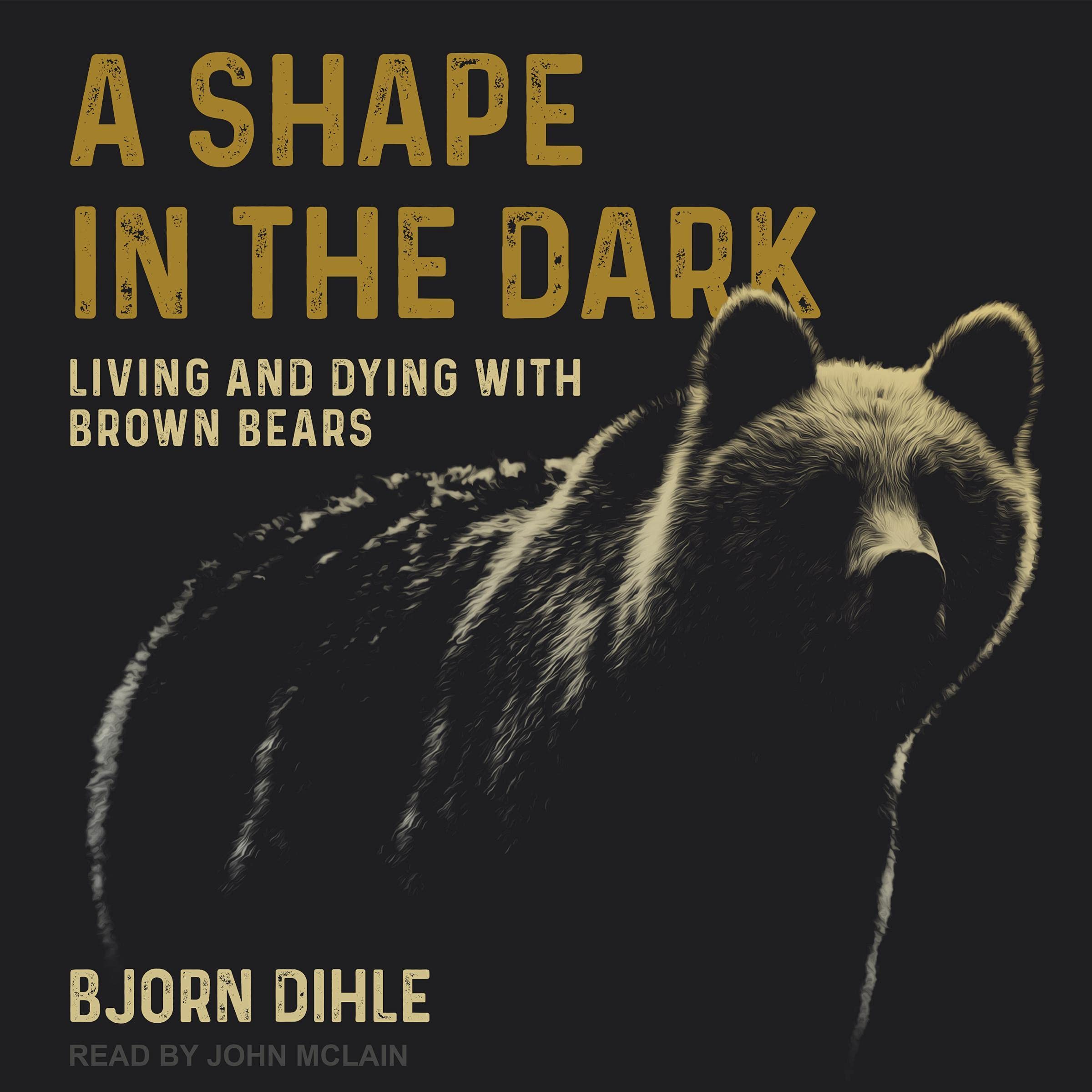 Cover art for A Shape in the Dark