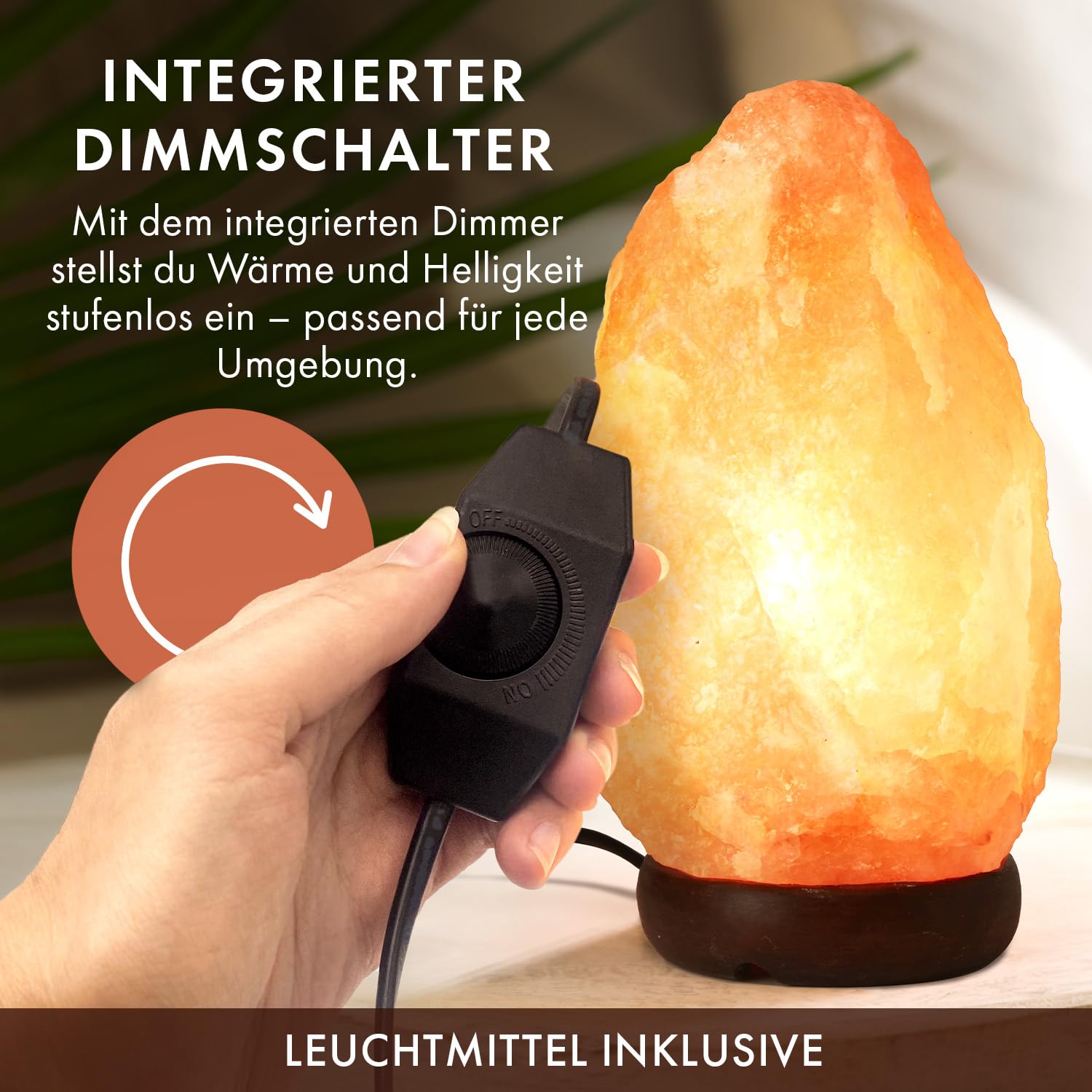 The Body Source Salzlampe (2-3 kg) mit Dimmerschalterlicht aus der Salt Range Pakistan auf einem Holzständer - Nachtlicht inkl. 1x 10W Glühbirnen und Geschenkbox