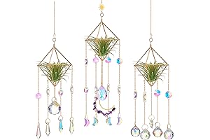 Mesmerizing 3-Piece Crystal Air Plant Holder for Captivating Home Decor