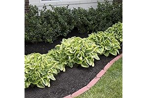 Artificial Hostas Set of 24 Fake Plants with Rustic Shovel - Realistic...
