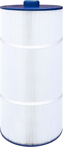 Wowreed Filtro de piscina compatible con Sundance Double End 120, 6540-488, PSD125-2000, C-8326, FC-2780, 1 paquete