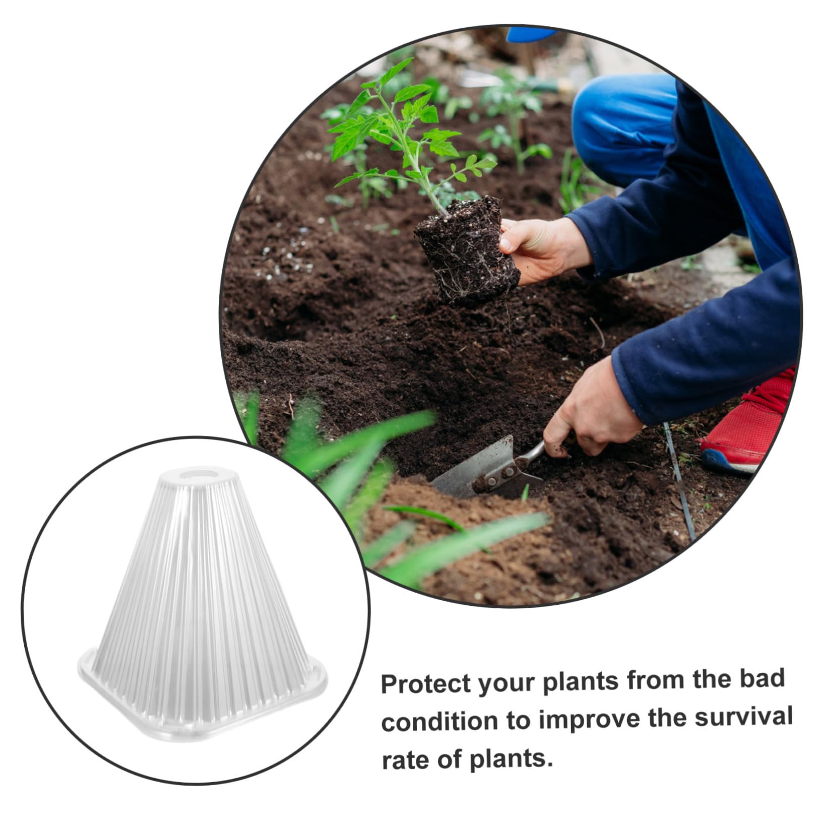 BESTonZON Cloche Conique pour Plantes, Lot de 10, Pet, Protection