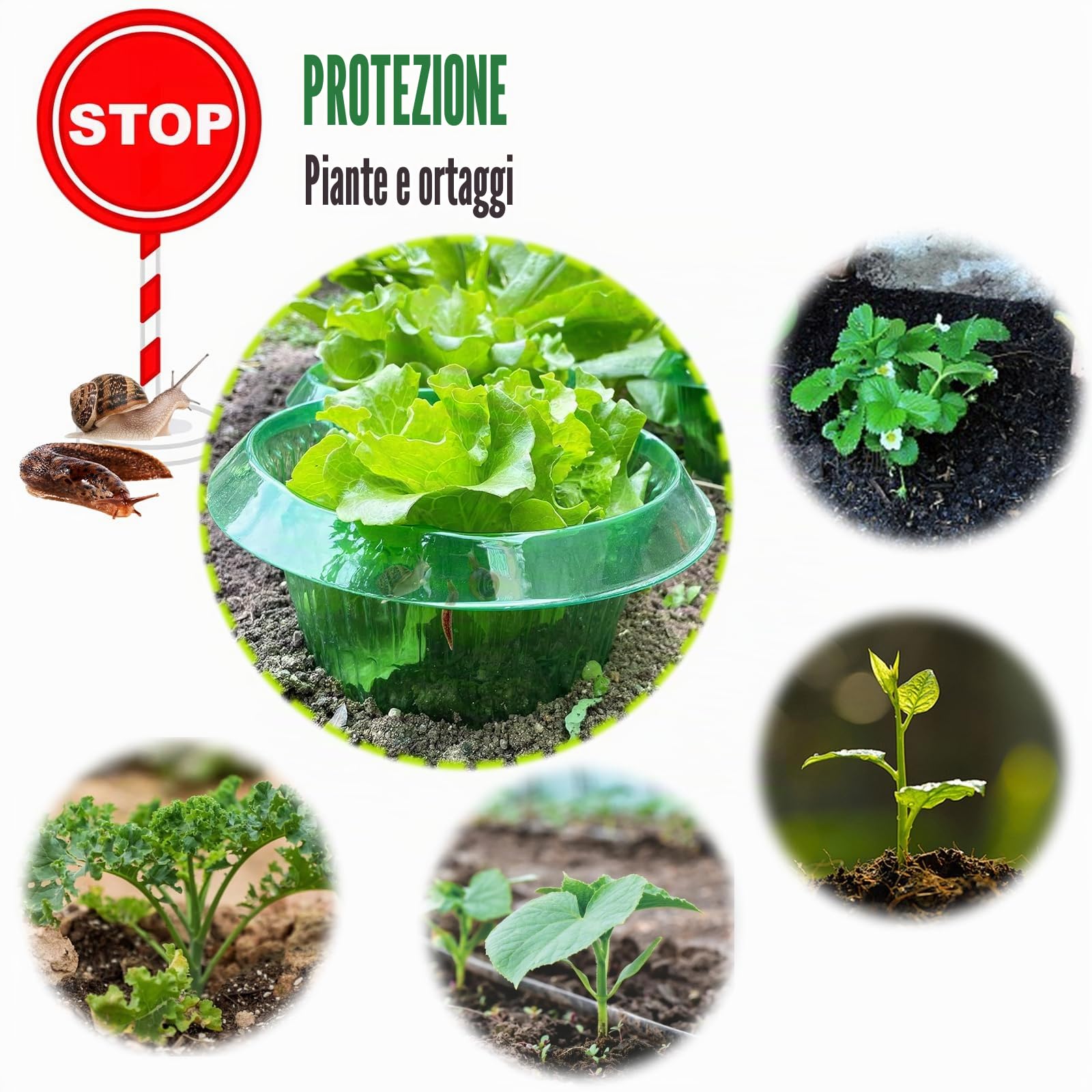 12 Pezzi Collari per lumache, Antilumaca per Orto,Protezione Contro Le lumache, Collare per lumache, Anti-lumache, Protezione per Piante da dagli Animali, Anti-Lumache per Le Vostre Piante