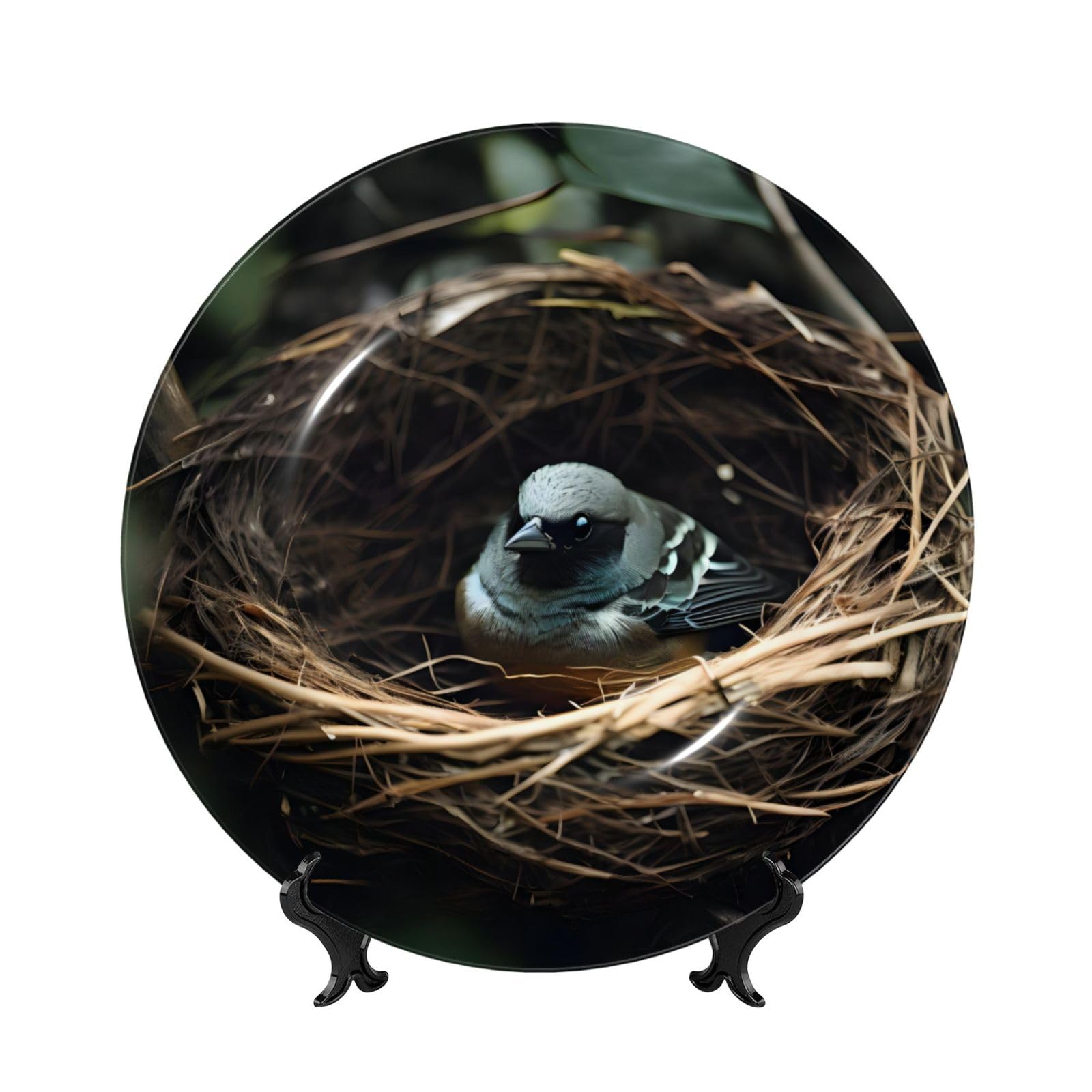SXZVVBN Little bird nest Bone China Decorative Plate Art with Stand Removable Adhesive Hanging for Home Office 7in
