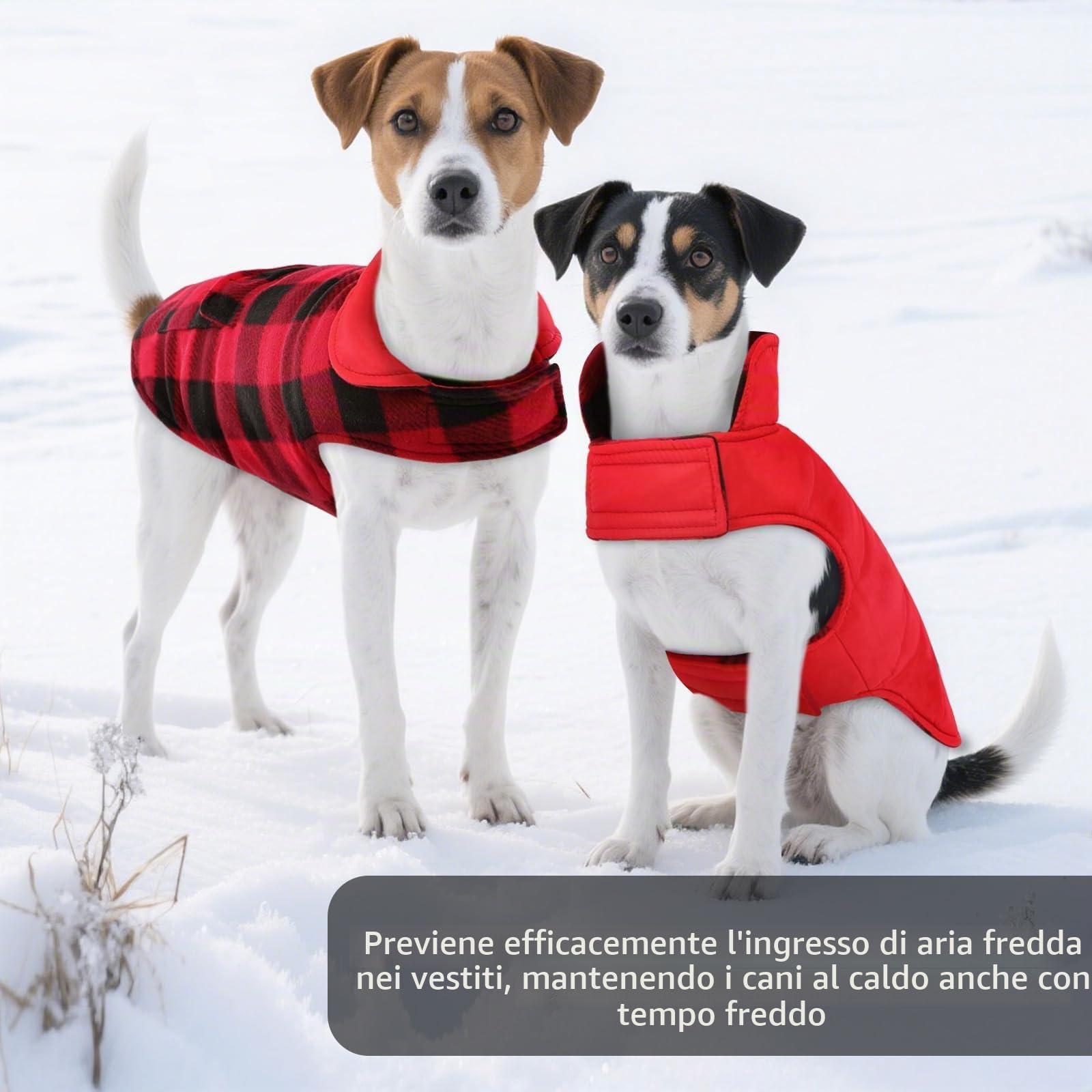 ASENKU Cappotto Cane Impermeabili Invernale, Cappottino Cane Reversibile Antivento Freddo Taglia Media M, Calda Giacca per Cani,Gilet per Cani con Fodera in Lana Protegge Dal Freddo