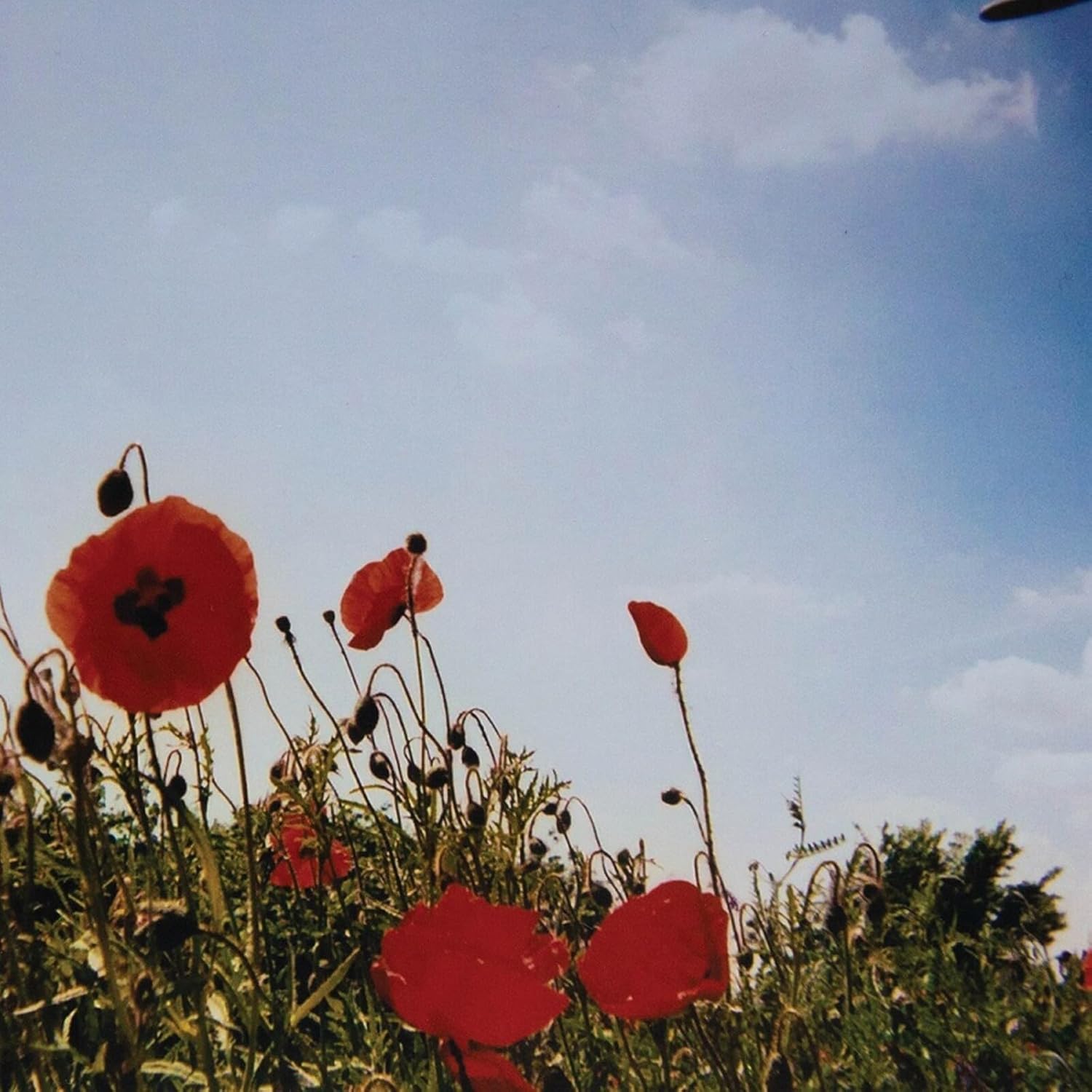 Album art
