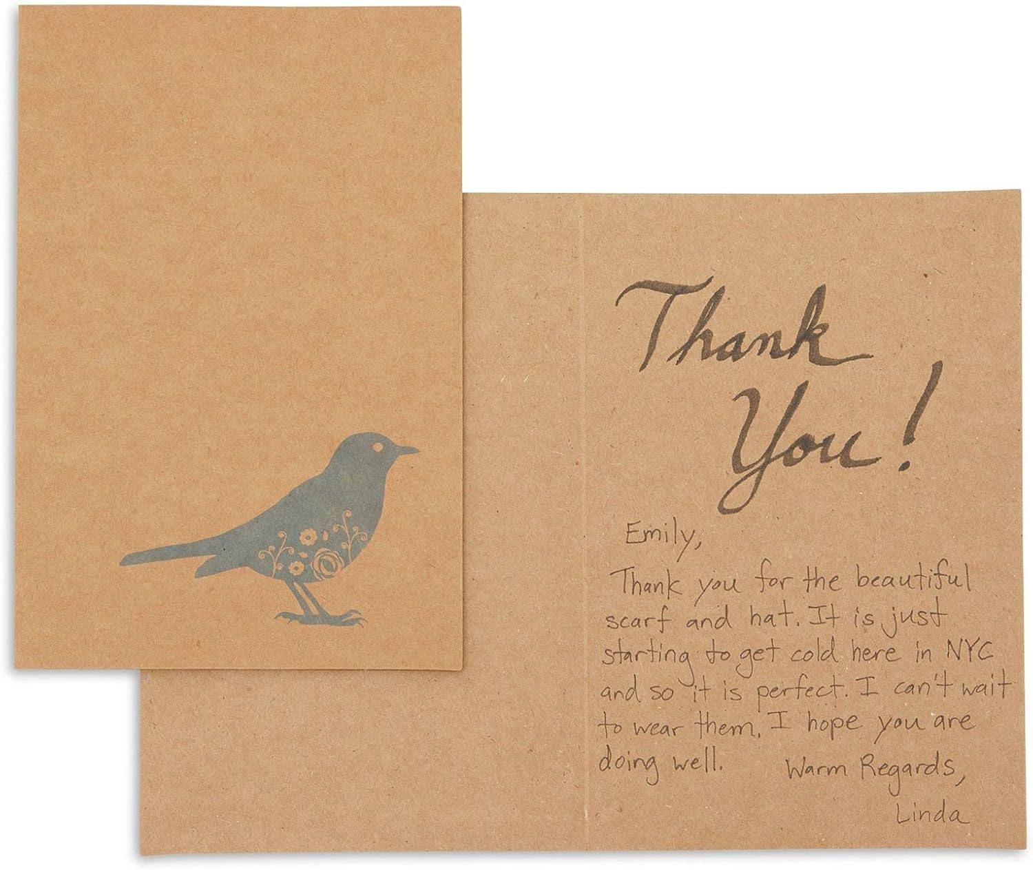 36 Pack All Occasions Assorted Blank Note Cards Greeting Cards Bulk Box Set - 6 Colorful Rustic Bird Designs - Blank on the Inside Notecards with Envelopes Included - 4 x 6 Inches : Office Products