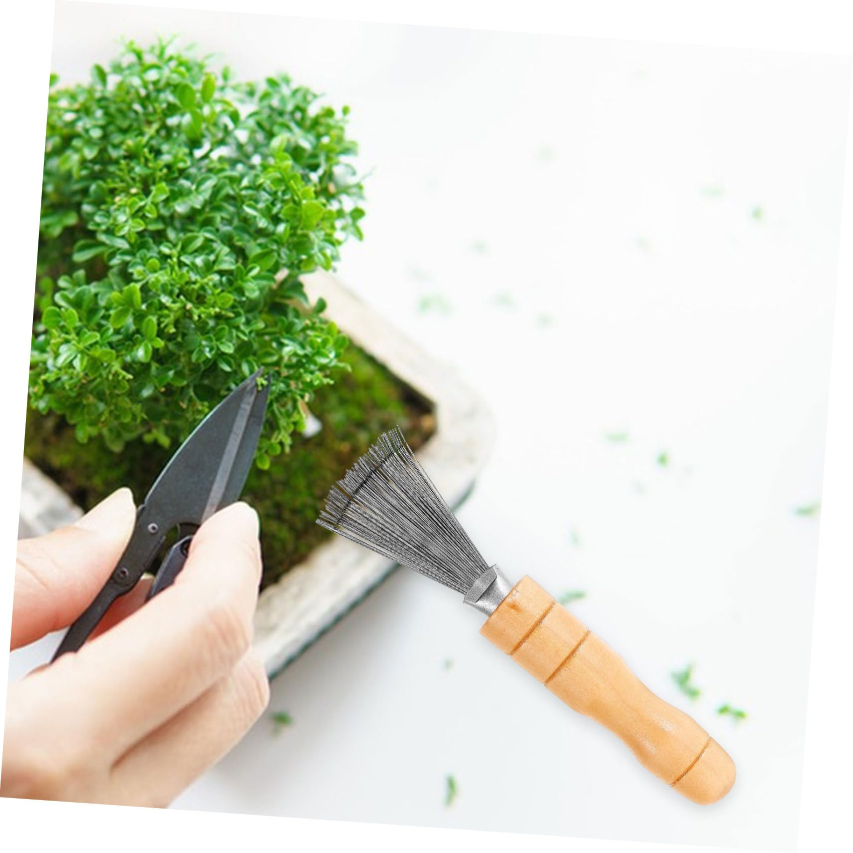 Jianshan Rastrello Per Composizioni Floreali E Pulizia - Pettine In Acciaio Inox Con Manico In Legno, 11 Cm