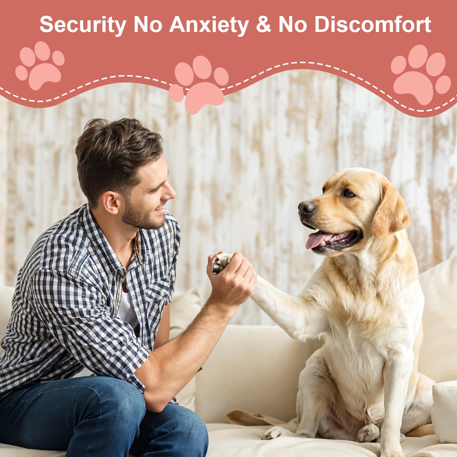 Dog Nail File with 6Pcs Replaceable Filing Disc, Dog Scratch Board for Safe and Easy Nail Care, Dogs Nails Scratch Board Ensures Smooth and Healthy Nails for Dogs and Cats - image 7