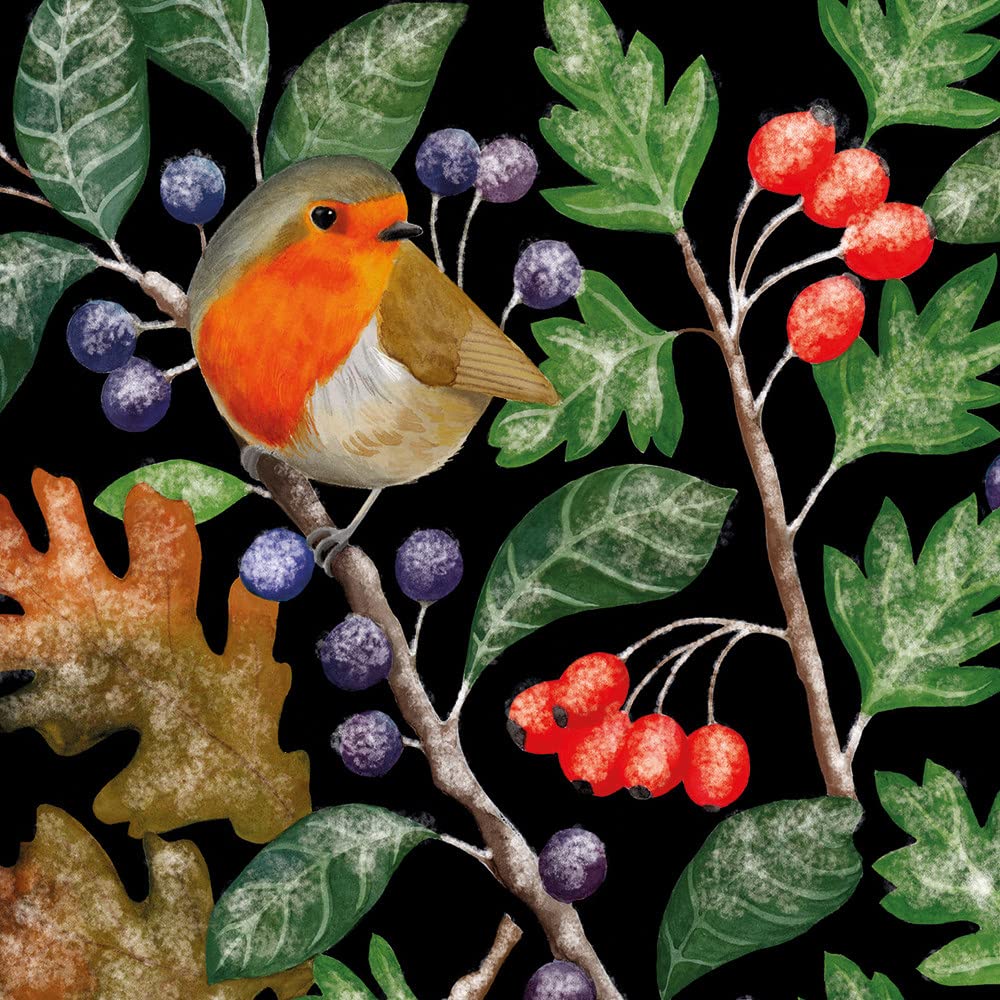 Museums & Galleries Christmas Cards Pack of 8 - Robin and Frosty Berries - Eco-Friendly and Recyclable