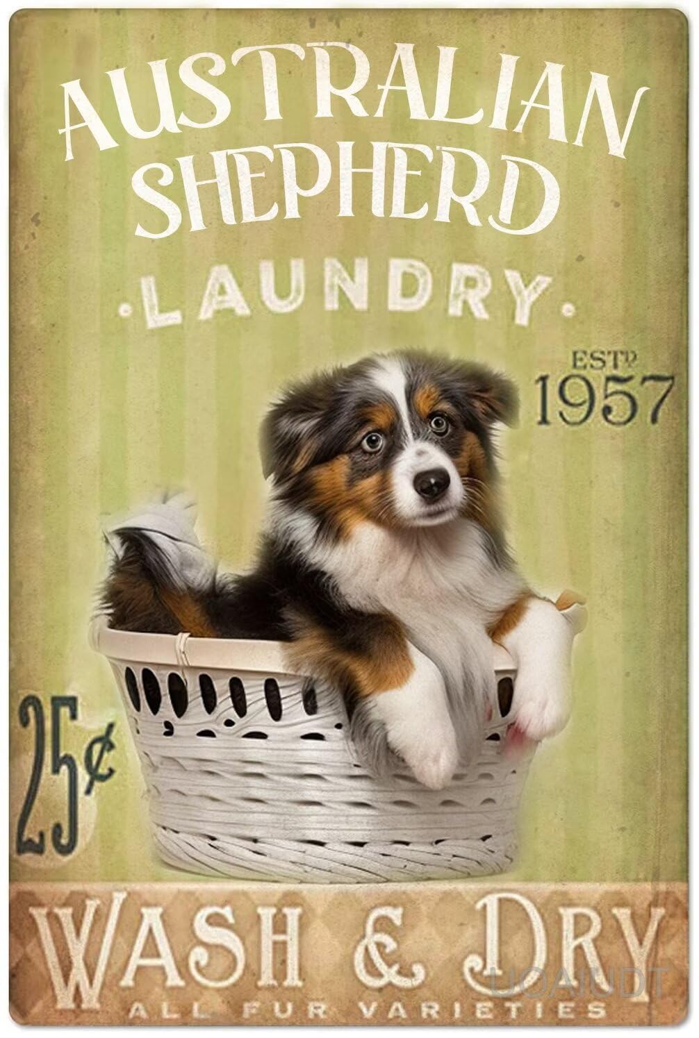 Anceky Australian Shepherd Laundry Diamond Art Kits for Adults,5D Laundry Wash Dry Diamond Art for Beginners,Full Round Drill Diamond Paintings for Adults for Home Wall Decor 12X16 Inch
