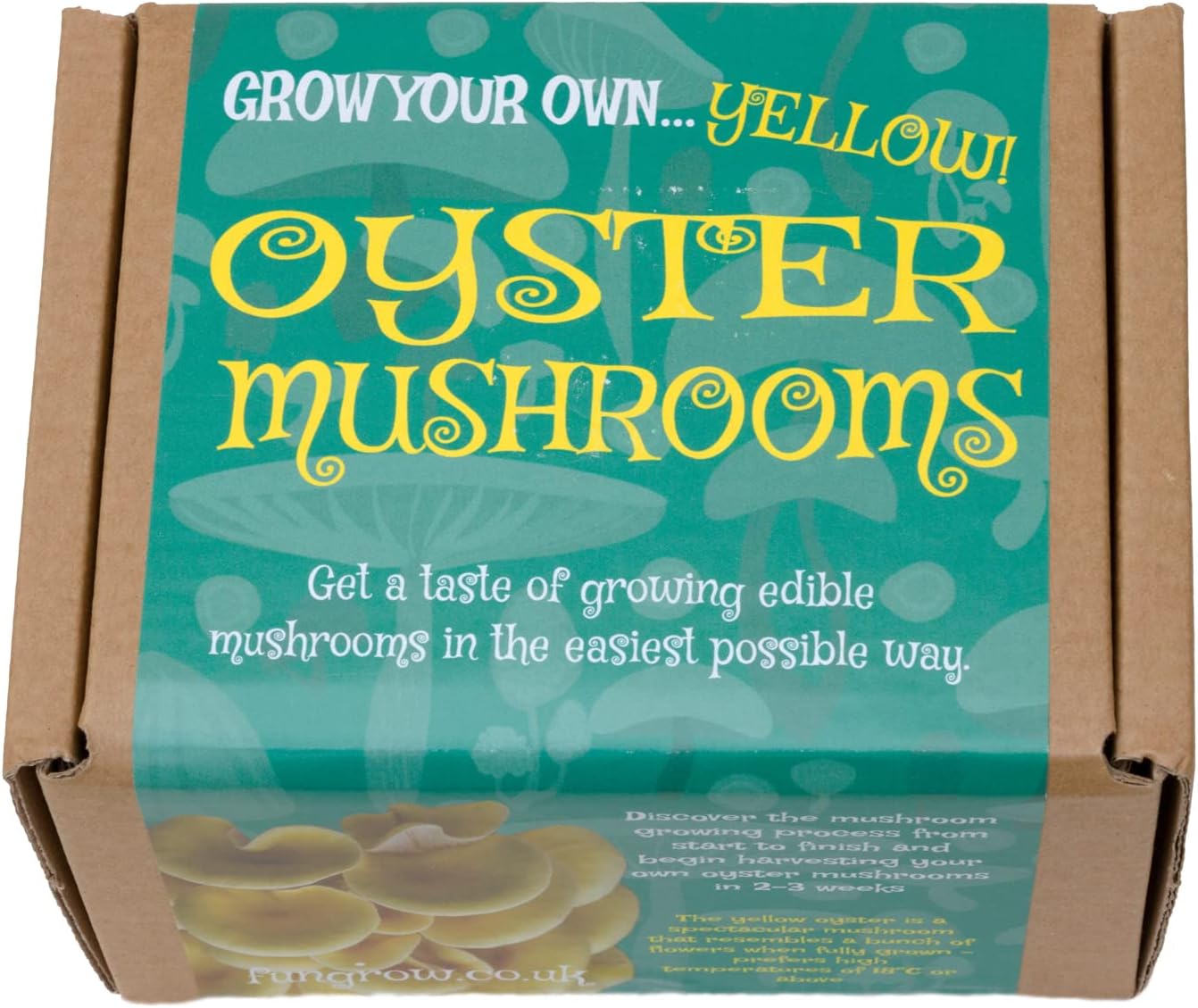 FUNGROW Mushroom Growing Kit DIY! (Yellow) Amazon.co.uk Garden