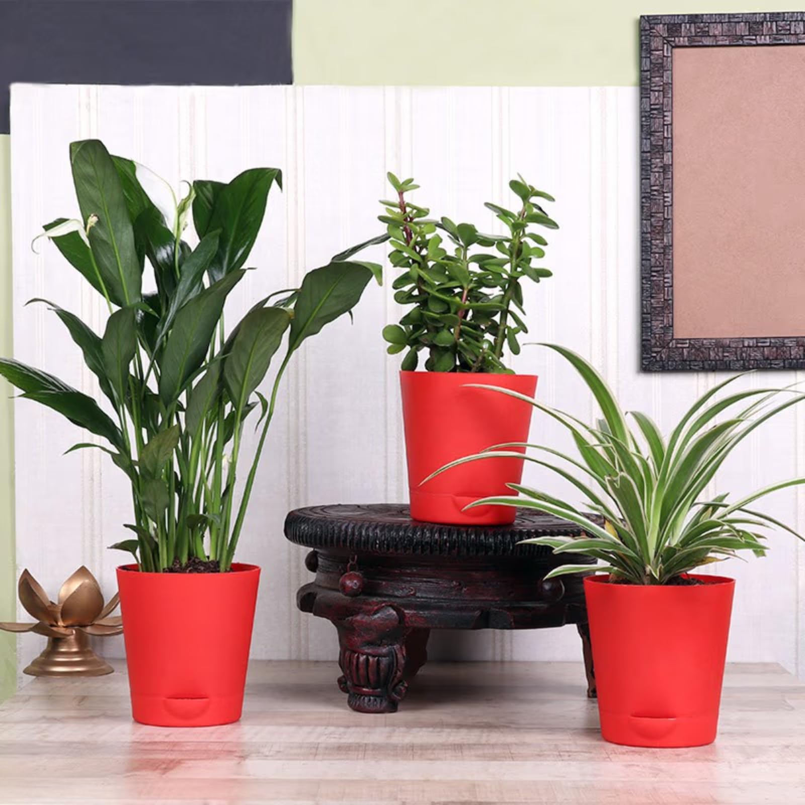 See full amazon price history chart for FlowerAura Set Of 3 Peace Lily, Spider Plant And Jade Live Indoor Plant In Self Watering Pot vase For Living Room, Table Decor, Balcony, Office/Home Decoration (Same Day Delivery) FlowerAura Set Of 3 Peace Lily, Spider Plant And Jade Live Indoor Plant In Self Watering Pot vase For Living Room, Table Decor, Balcony, Office/Home Decoration (Same Day Delivery) (B09LD35WMV) Amazon Price History, Amazon Price Tracker