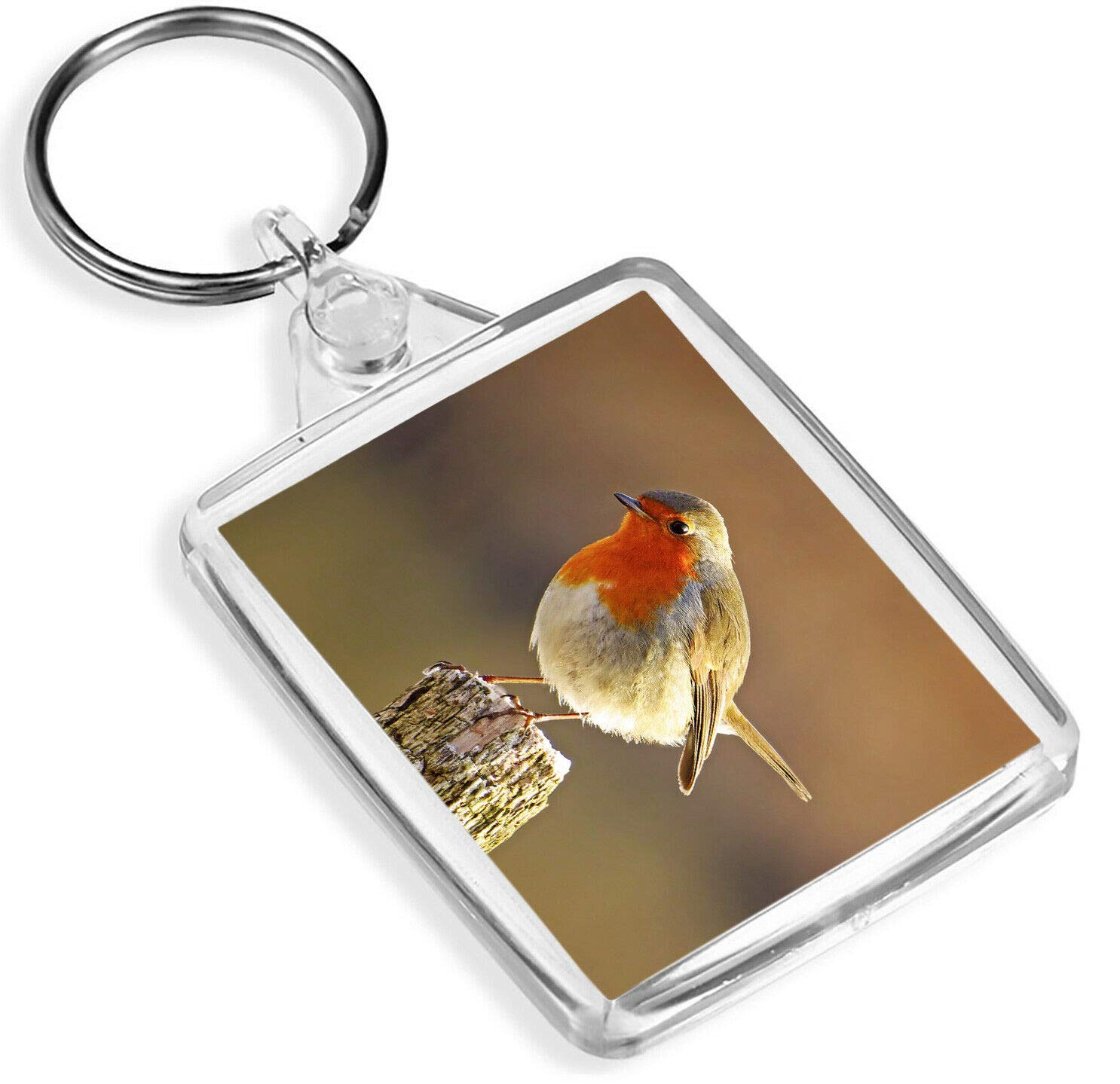 Destination Vinyl Keyrings Unisex Multi Cute Red Robin Keyring Bird Garden Mum Auntie Gran Sister Fun Keyring #8701