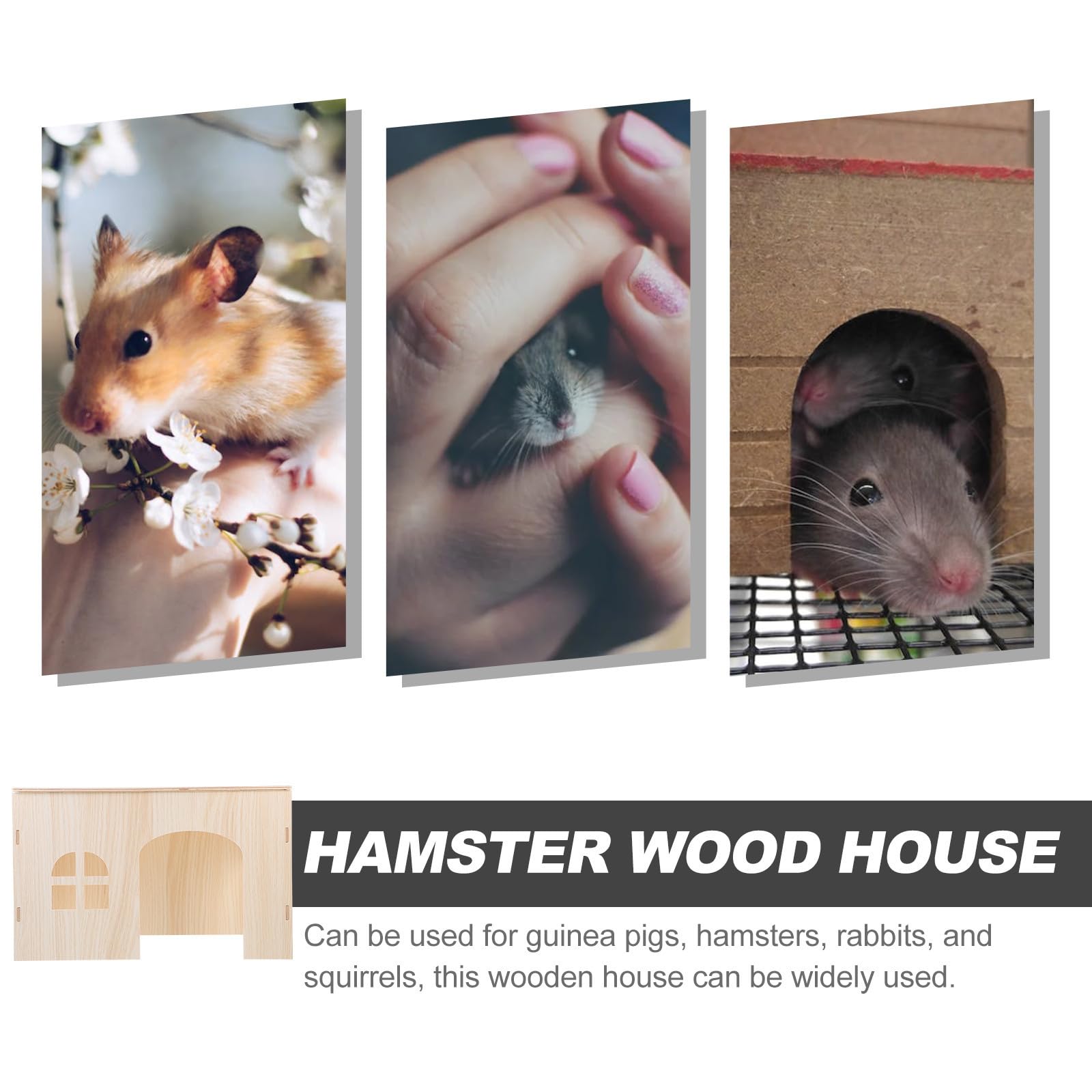 Levemolo Casetta Rifugio Robusto per Cincillà e Scoiattoli in Legno Beige Nido Sicuro e Accogliente per Piccoli Animali Domestici