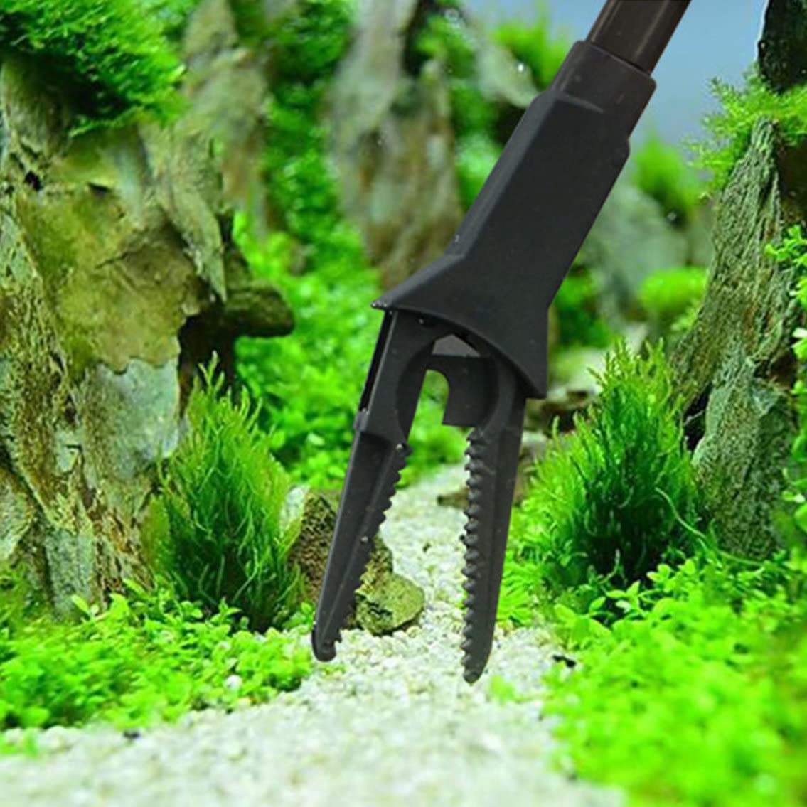 Pinces d'aquarium 50 cm, Pince pour Plantes d'herbe Aquatique à Long Manche et Pince de Nettoyage pour Aquarium