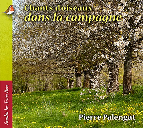 Chants d'oiseaux dans la Campagne