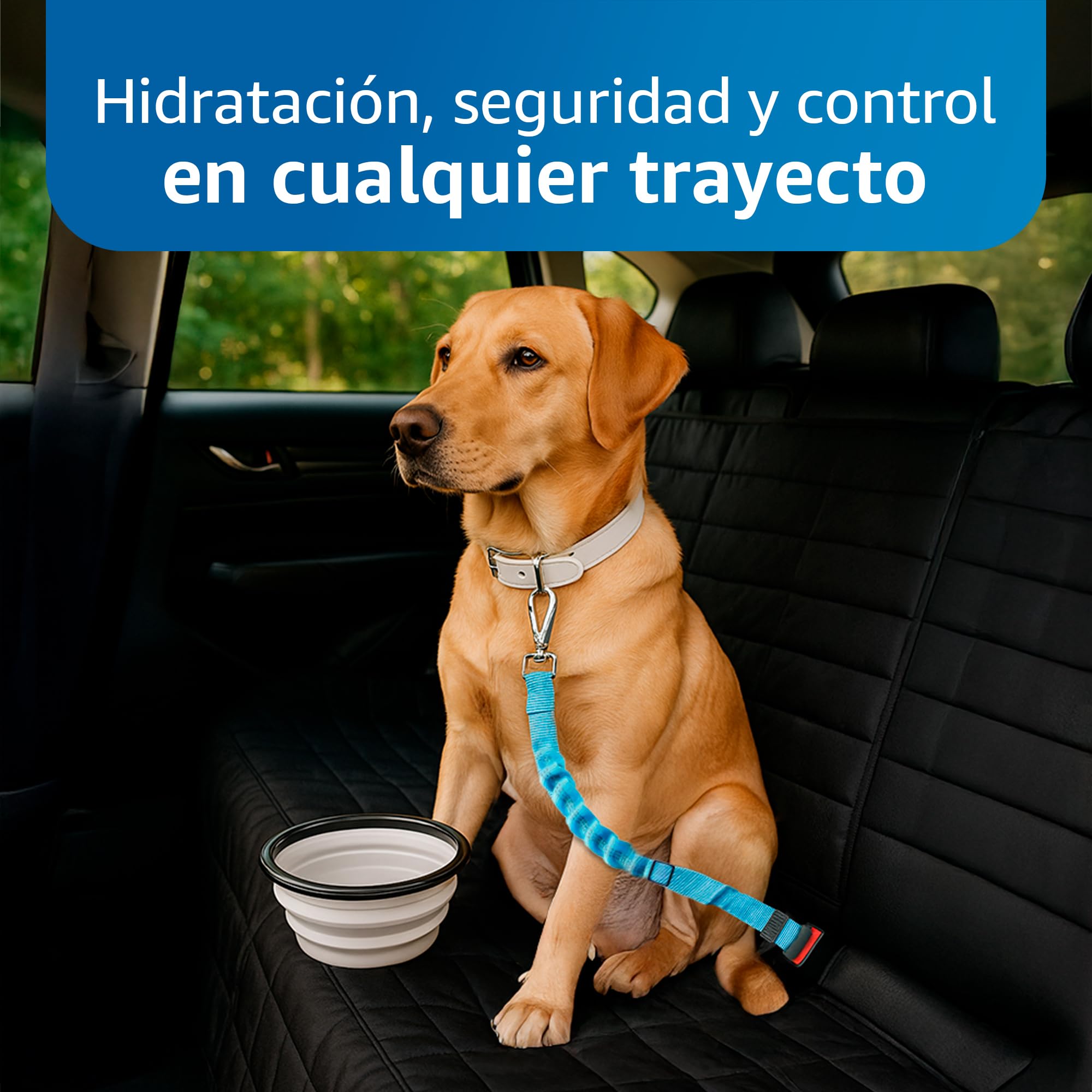 Funda Coche Perro - Protector Coche Asiento Trasero y Maletero, Medidas 147 cm Alto x 135 cm Ancho, Incluye Bebedero Comedero Pleglable y Correa de Seguridad Ajustable, Accesorios Mascotas