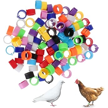 Pack of 100 Chicken Rings Poultry Foot Rings with Colourful Pigeon Foot Ring Small Poultry Clamping Rings Chicken Leg Rings Pigeon Ring for Ducks Chicken Sea Pigeons Goose Wild Poultry Turkey 10 mm
