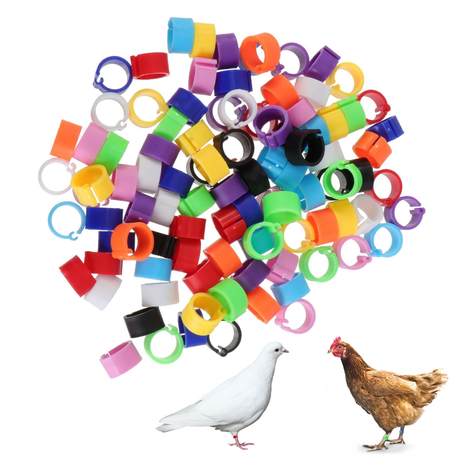 Anillos de Gel para Aves de Corral 10 mm – 10 Colores, Anillos para Palomas Pequeñas