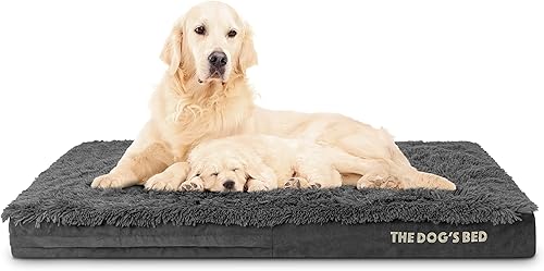 Miniatura 11 de The Dog's Bed - Cama ortopédica de espuma viscoelástica para perro, grande gris y negro, impermeable, cama de apoyo con fundas reemplazables, negro