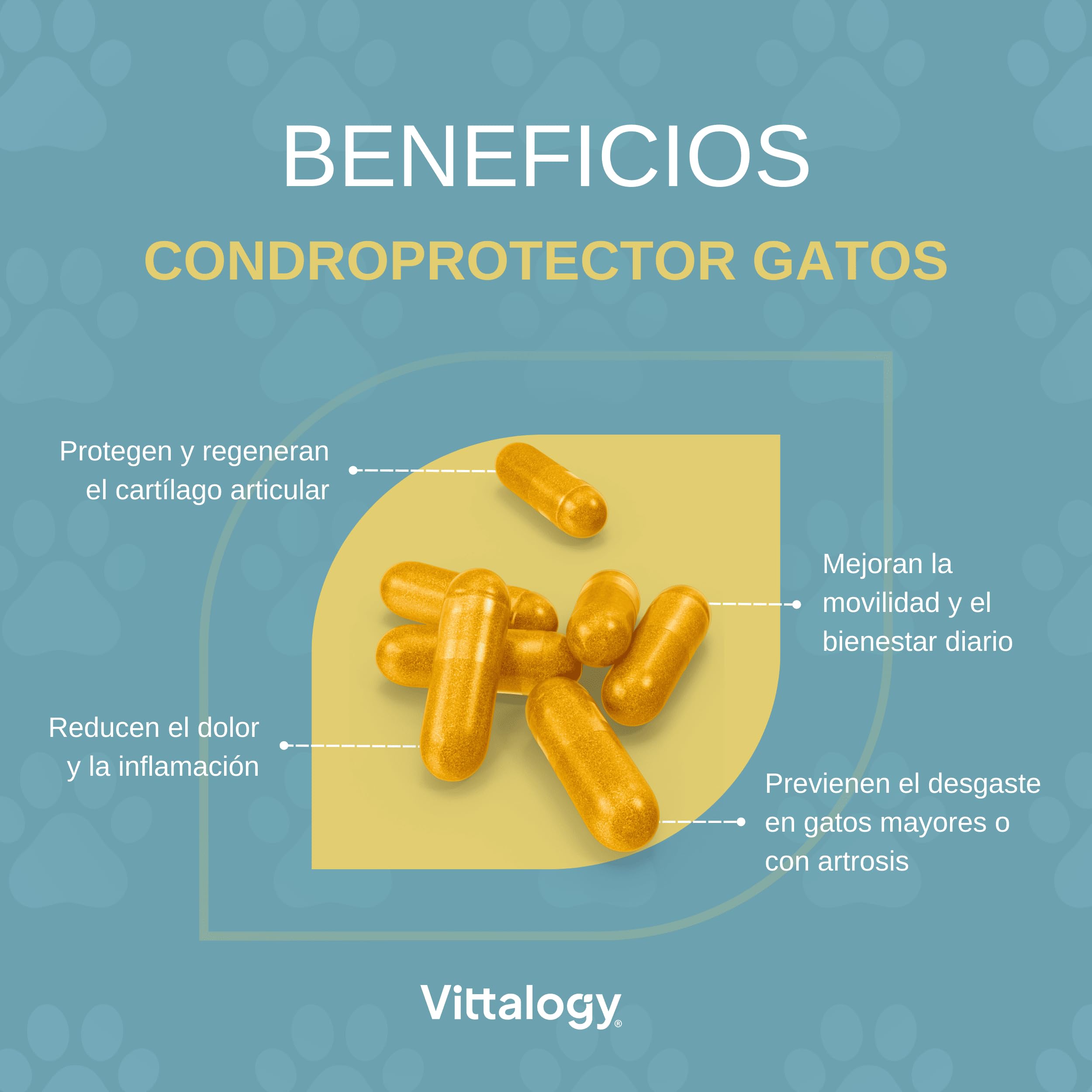Condroprotector para Gatos. Antiinflamatorio Natural con Colágeno, Condroitina, Hialurónico y Cúrcuma. Complemento Alimenticio para Caderas, Articulaciones y Cartílagos. (120 Cápsulas)