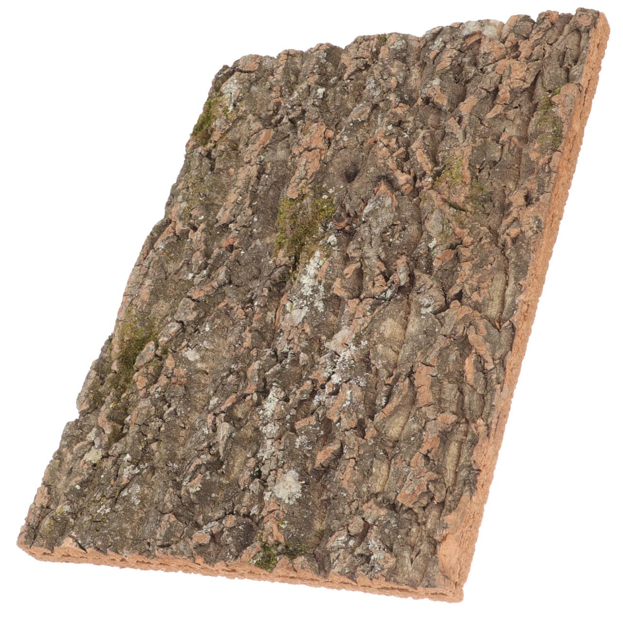 BESPORTBLE Natural Cork Bark Background: 40X30Cm Reptile Climbing Platform for Reptile Decor Lizard Tank Background Terrarium Decor for Bearded Dragons Geckos
