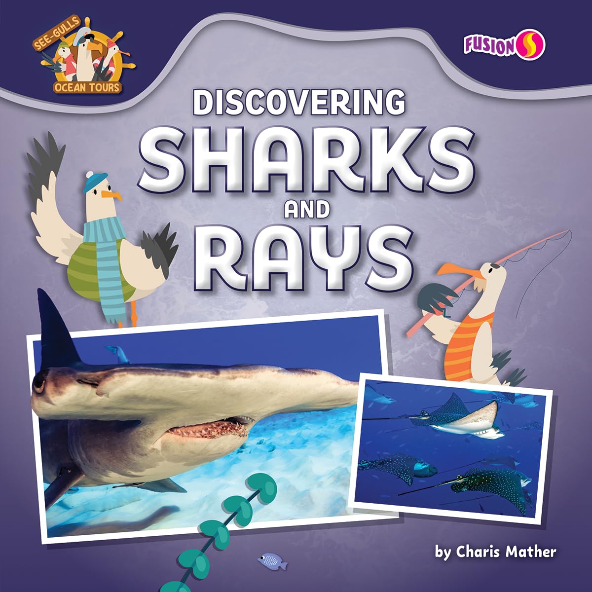 Discovering Sharks and Rays (See-gulls Ocean Tours Set Two)