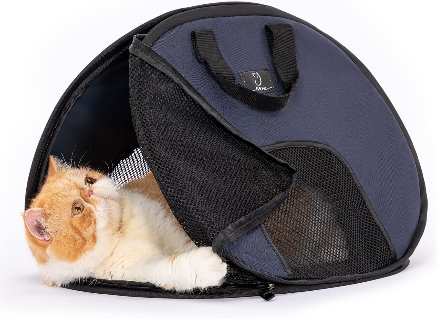 A4Pet Soft Cat Carrier Airline Approved, Collapsible Cat Carrier Bag with Zipper Lock and Breathable Mesh Openings for Car, Indoor & Outdoor Travel Use : Pet Supplies
