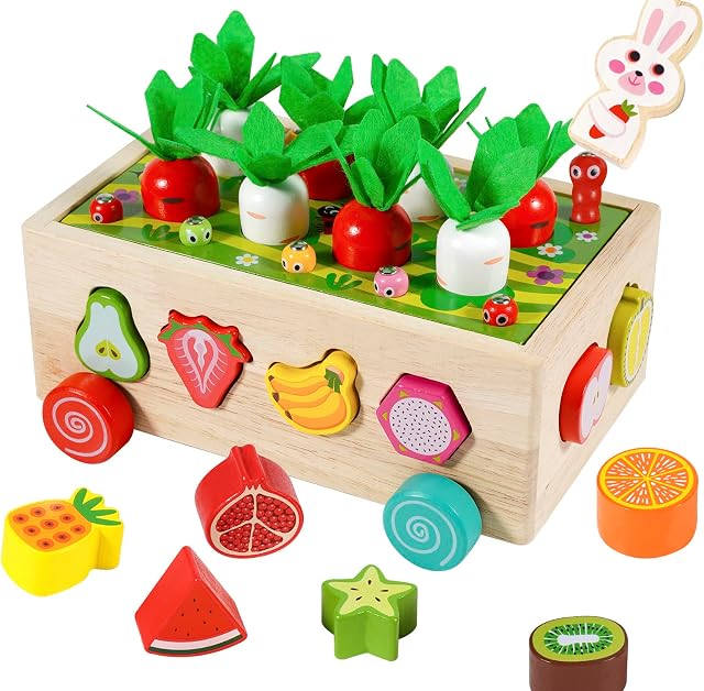Montessori Toys for Toddler ,Wooden Educational Toys for Boys Girls , Shape Color Sorting Matching Educational Wooden Toys for Kids age 2 3 4 Year Old,Wood Preschool Learning Fine Motor Skills Game