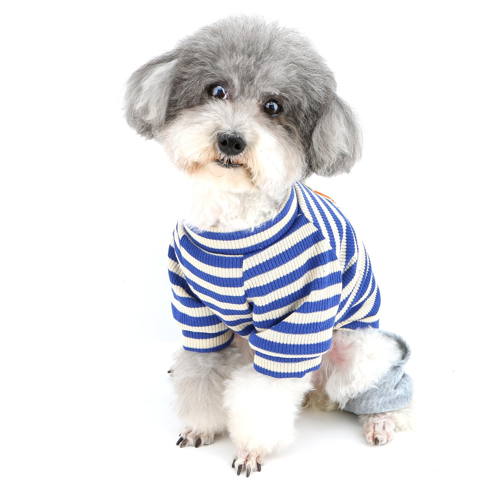 XHYRHTS Combinaison tricotée rayée pour Chien de Petite Taille, Tenue Chaude et Extensible pour Chiot avec Anneau en D et Lettre, Pull Doux à Quatre Pattes, Pyjama Confortable d'automne pour