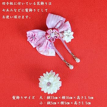 Amazon | 羽子板 正月 ケース入り(9号 (摘み細工髪飾り付き