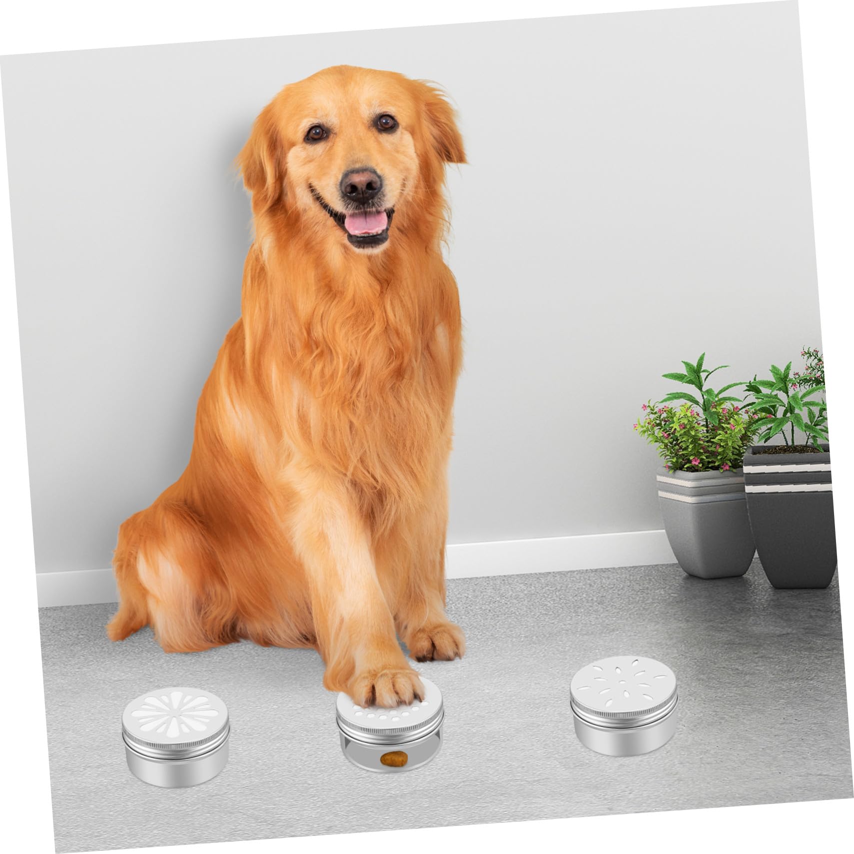 Caja de Entrenamiento de Olfato y 12 Puntos Magnéticos para Perros con 12 Latas de Aluminio Diseño Duradero y Fácil de Usar para Adiestramiento Canino