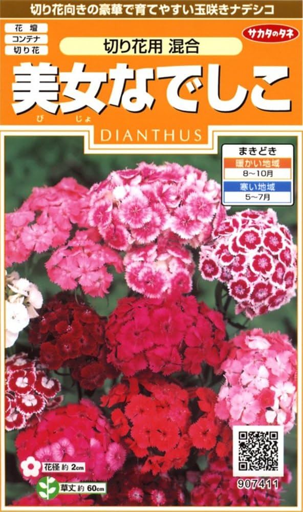 TAKEれんこん 楽天市場】レンコン エキスの通販