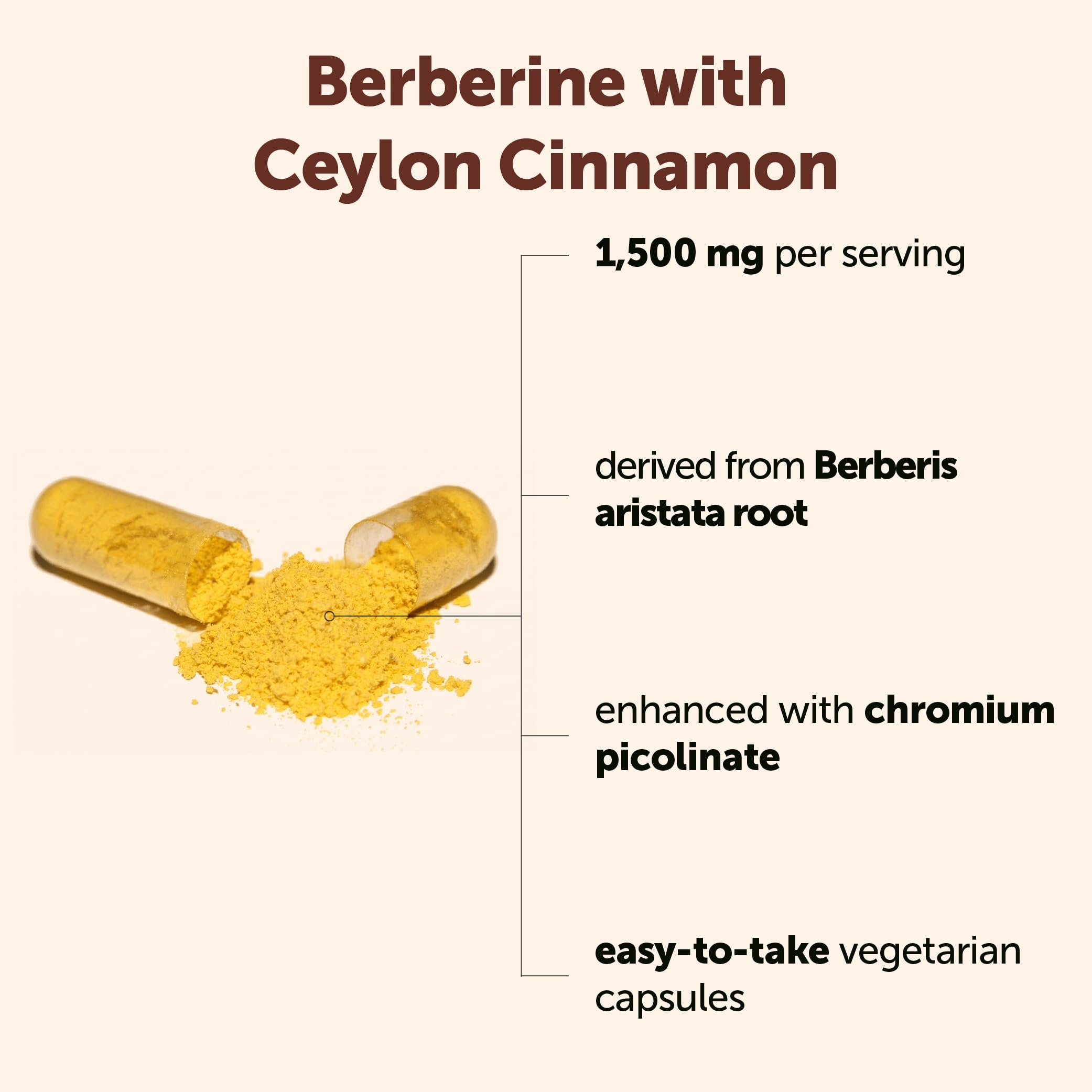 Micro Ingredients Berberine HCl with Ceylon Cinnamon 1,500 mg Per Serving, 240 Vegetarian Capsules | Berberine Supplement with Ceylon Cinnamon & Chromium | Non-GMO — Amazon image 2