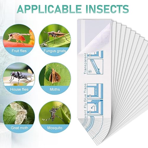 Miniatura 3 de 60 trampas para moscas de ventana para interiores y exteriores, insectos, insectos, moscas y moscas de la fruta, adhesivo adhesivo para matar