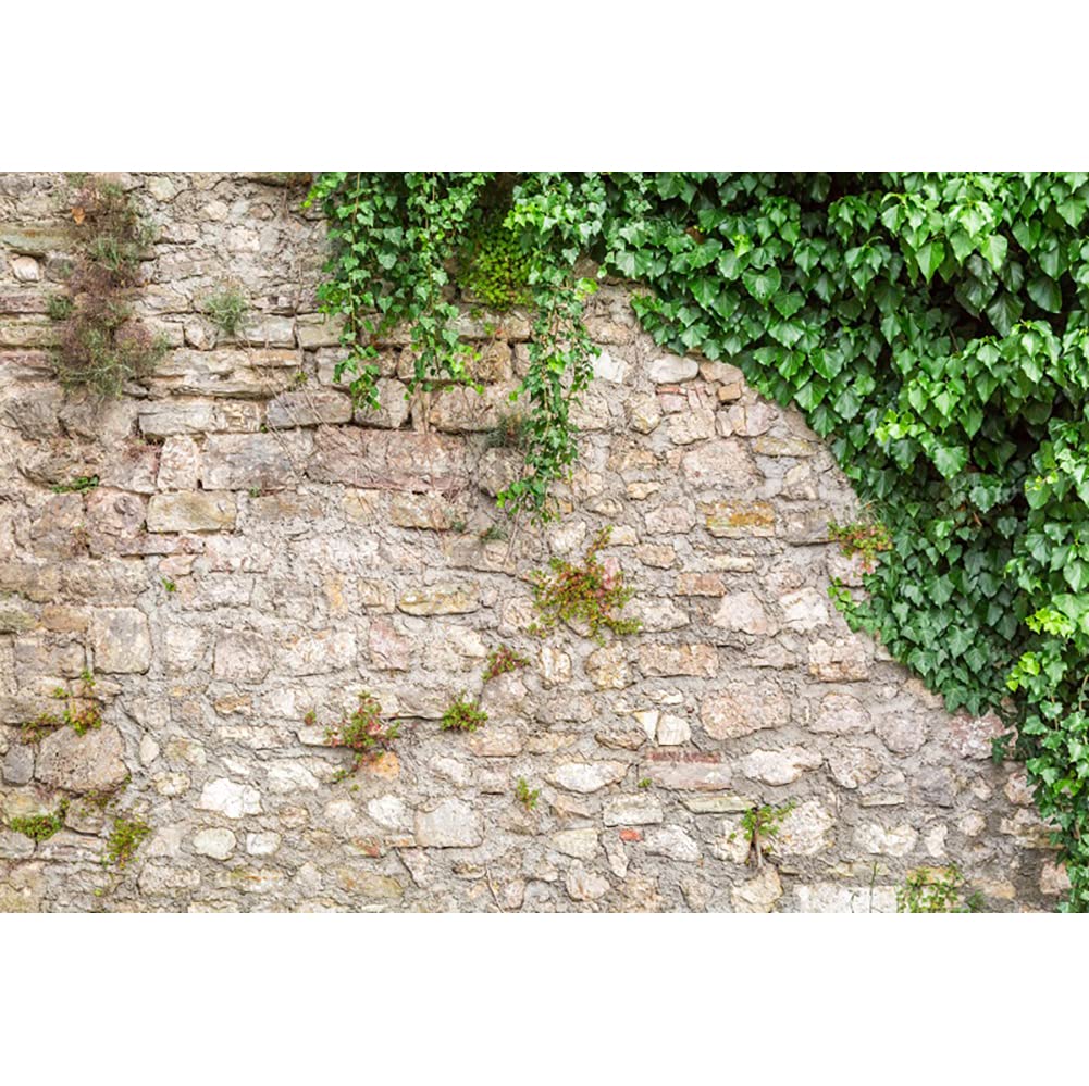 Yeele 10x8ft Brick Wall Green Leaves Backdrop Rustic Garden Plants Stone Wall Greenery Photography Background Birthday Anniversary Wedding Child Adult