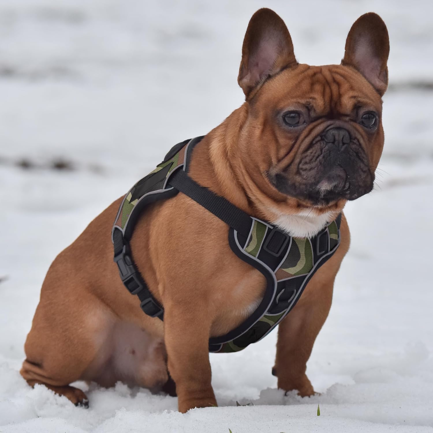Dogline Quest No-Pull Dog Harness with Blank Reflective Removable Patches Reflective Soft Comfortable Dog Vest with Quick Release Dual Buckles Black Hardware and Handle 21 to 25 inches GreenCamo